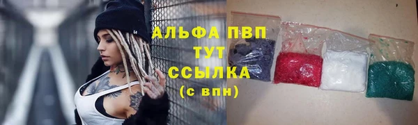 ГАЛЛЮЦИНОГЕННЫЕ ГРИБЫ Белоозёрский